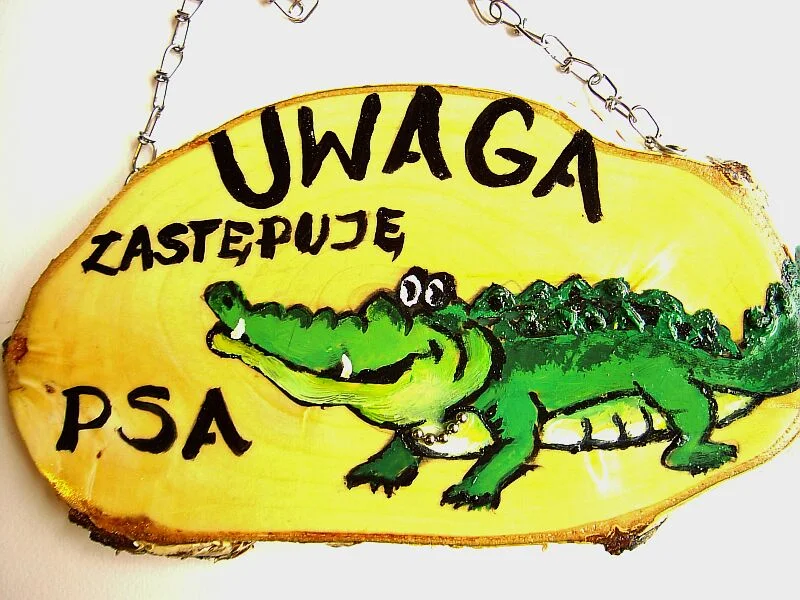 Zdjęcie z galerii