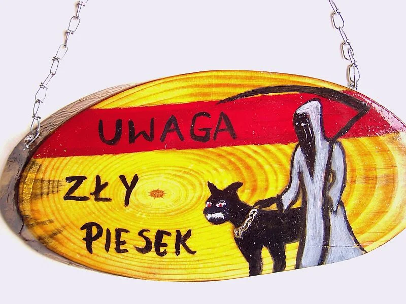 Zdjęcie z galerii