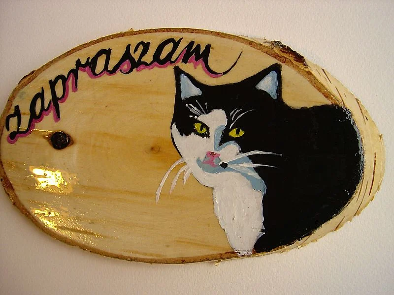 Zdjęcie z galerii